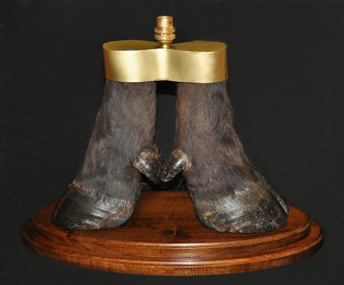 Feet and tail mount