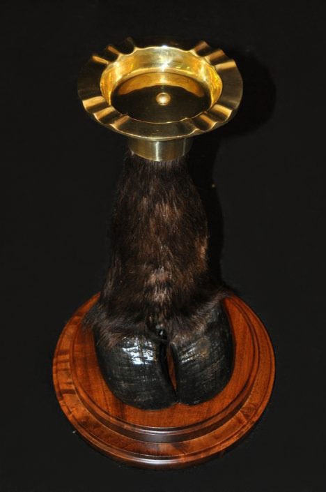 Feet and tail mount