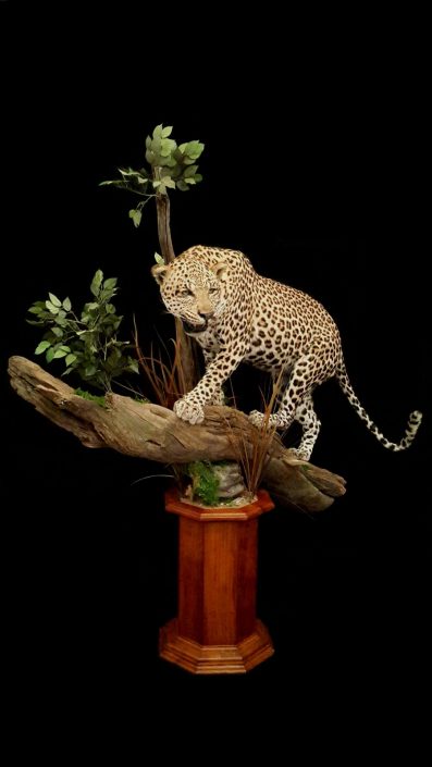 Full mount