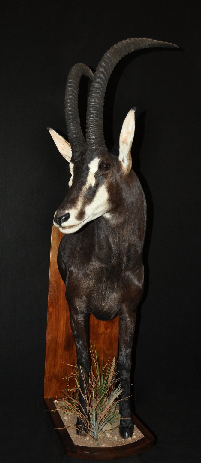 Half mount