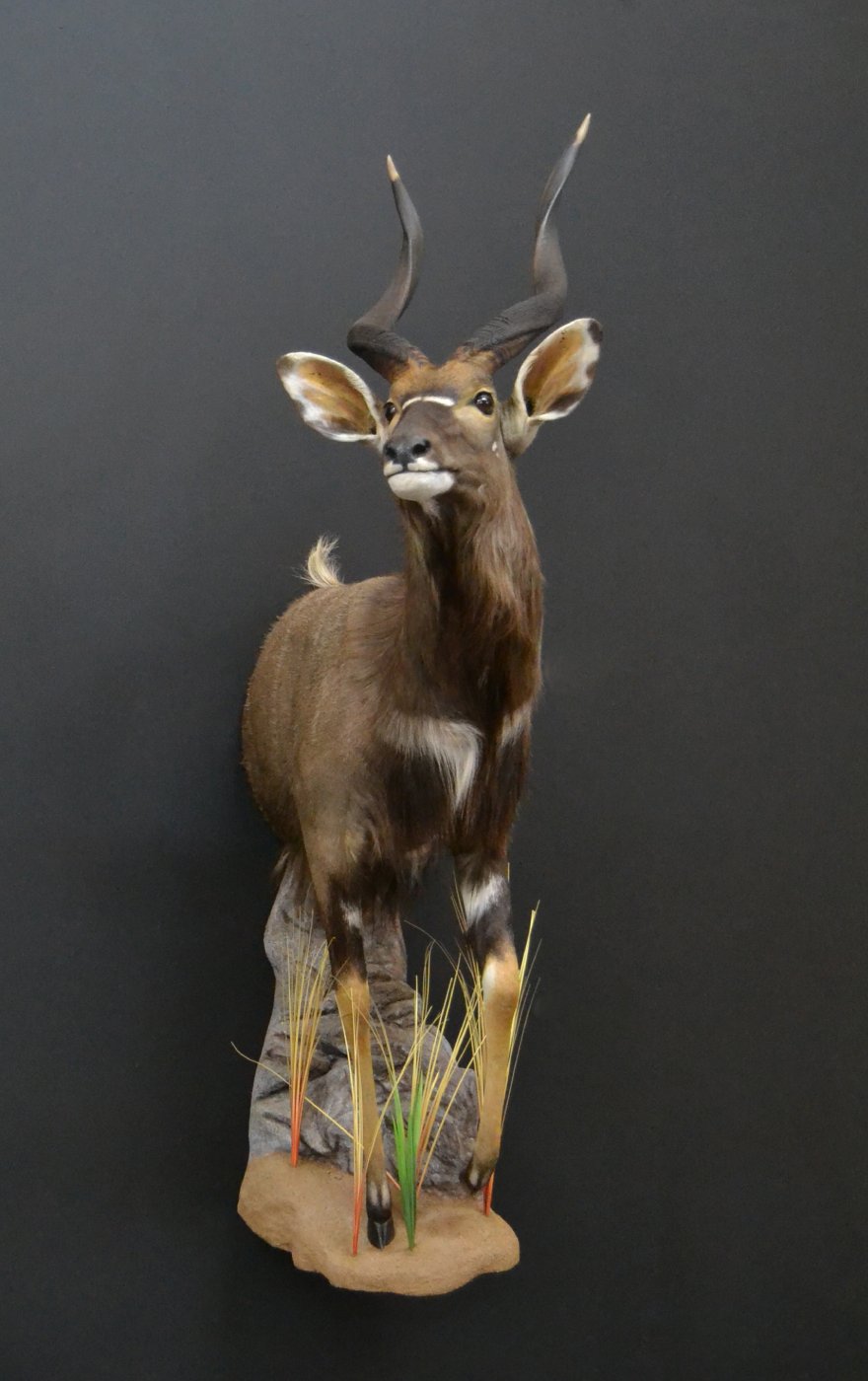 Half mount