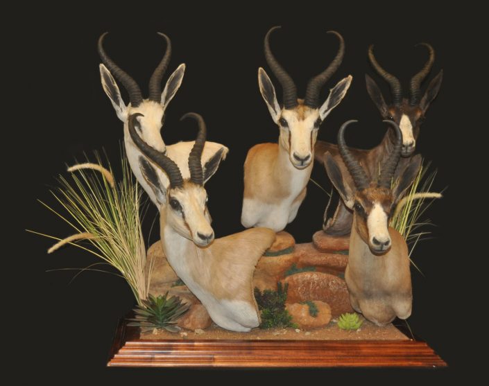 Pedestal mount