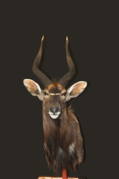 Pedestal mount