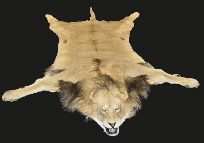 Rug mount