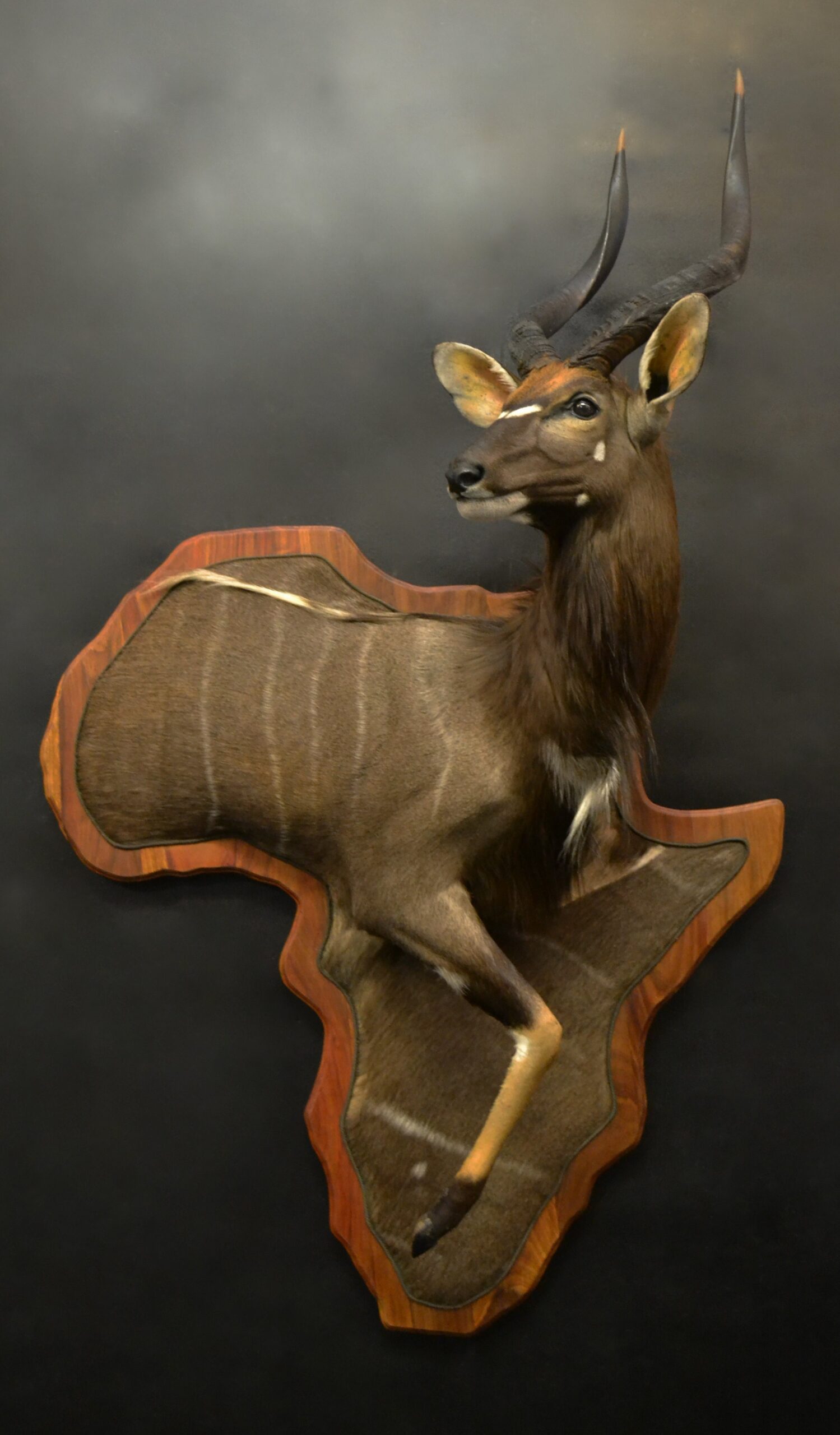 Wall art mount