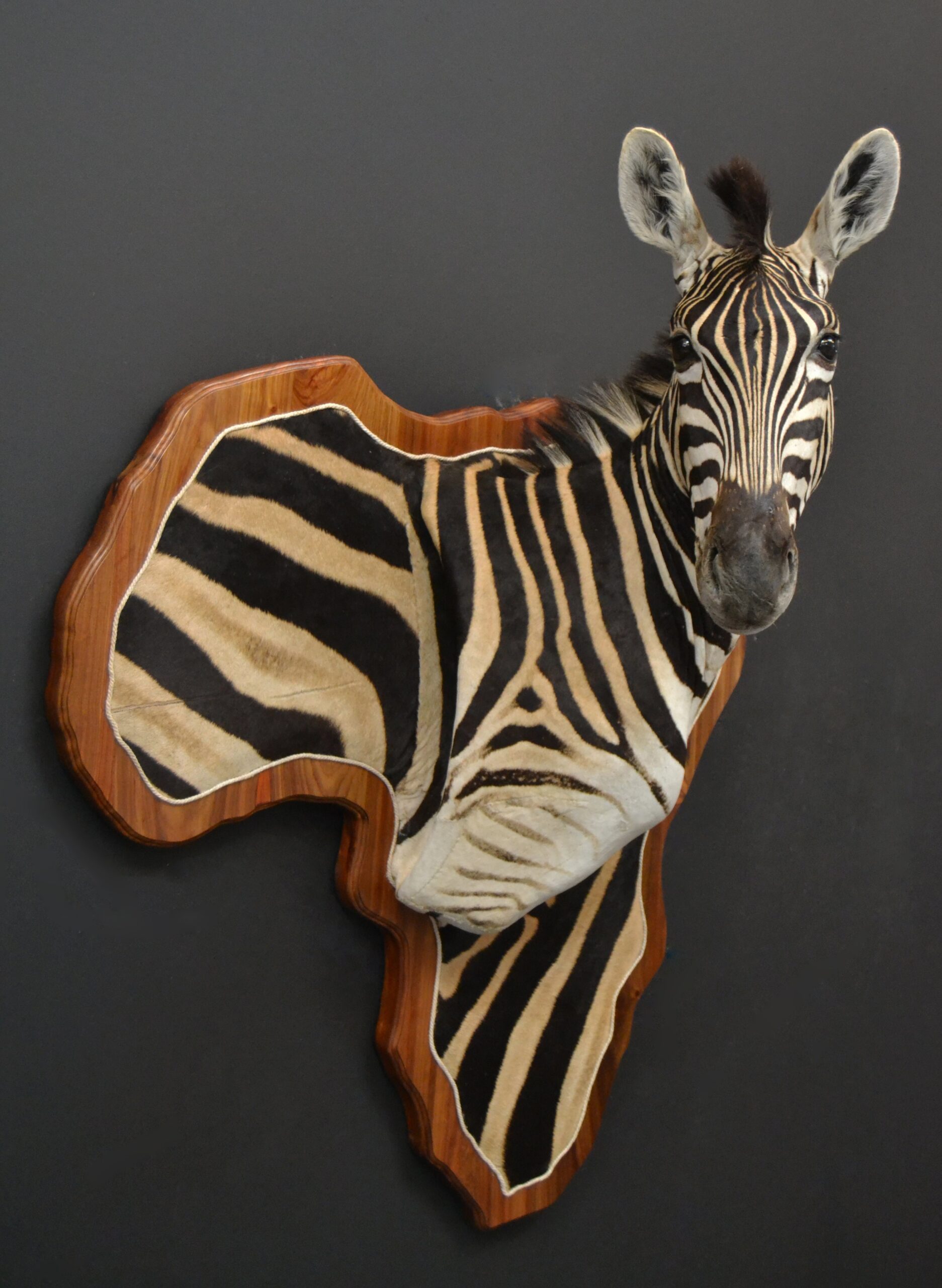 Wall art mount